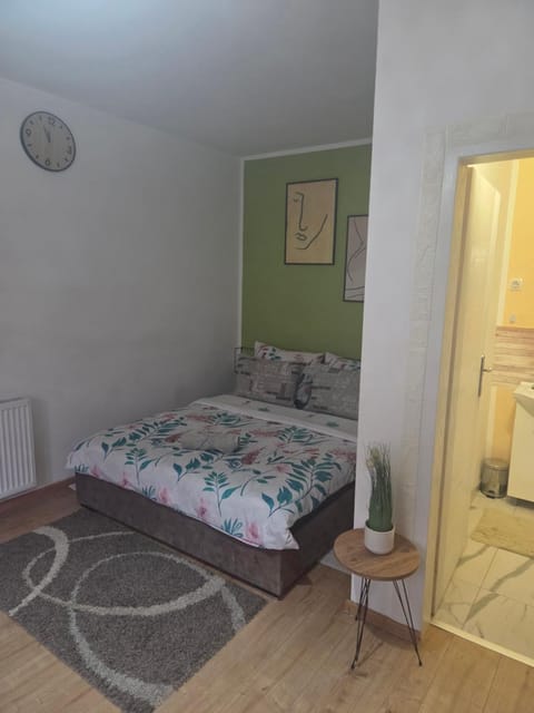 Zen apartman 8 Apartment in Timiș County