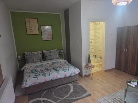Zen apartman 8 Apartment in Timiș County