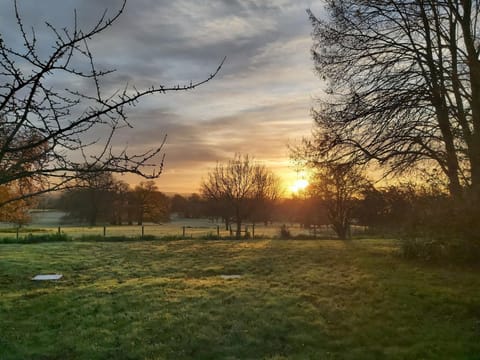 Natural landscape
