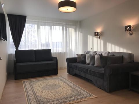 Crystal Grey Apartment in Lithuania
