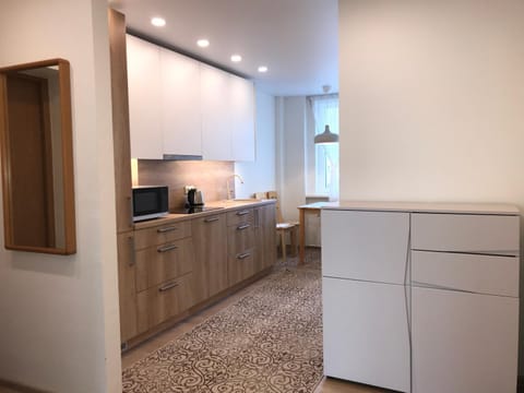 Crystal Grey Apartment in Lithuania