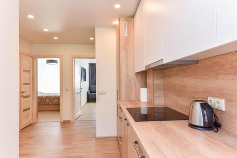 Crystal Grey Apartment in Lithuania