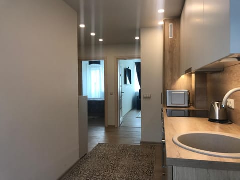 Crystal Grey Apartment in Lithuania