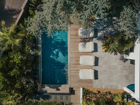 Day, Pool view