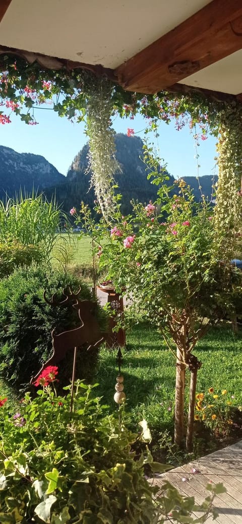 Gästehaus Barbara Schwaiger - Chiemgau Karte Bed and Breakfast in Berchtesgadener Land