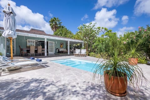 Garden, Swimming pool, sunbed