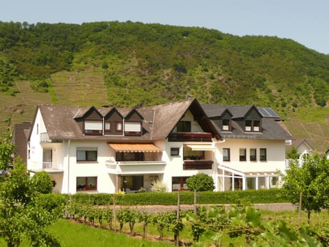 Property building, Natural landscape, Mountain view