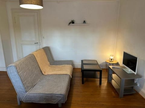 Beau F3 - Proche Gare Apartment in Mulhouse