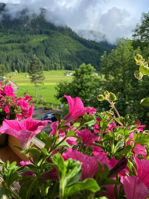 Neighbourhood, Natural landscape, Summer, View (from property/room), Area and facilities