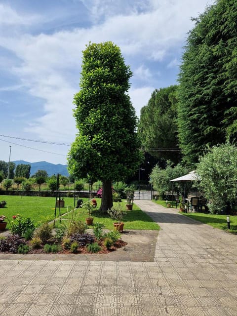 Casa Magnolia Apartment in Capannori