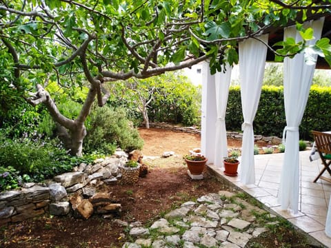 Patio, Garden