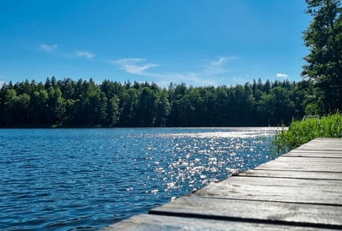 Lake view