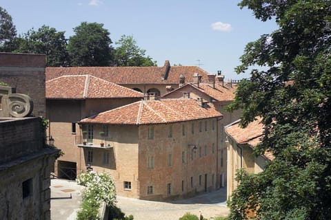 Bird's eye view, Other