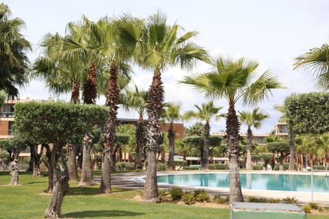 Garden, Swimming pool