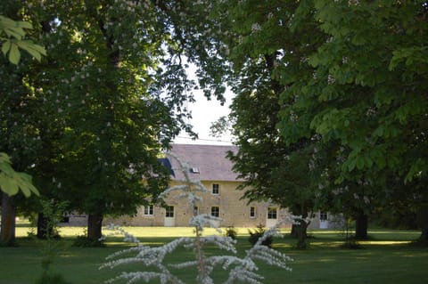 Property building, Spring