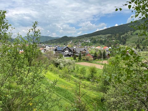 Spring, Mountain view