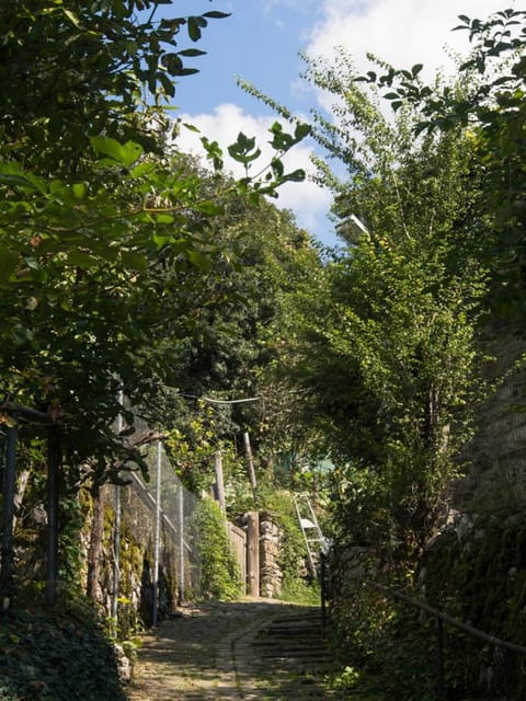 Chariklia Traditional House Chalet in North Macedonia