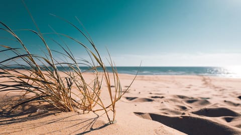 Natural landscape, Sea view