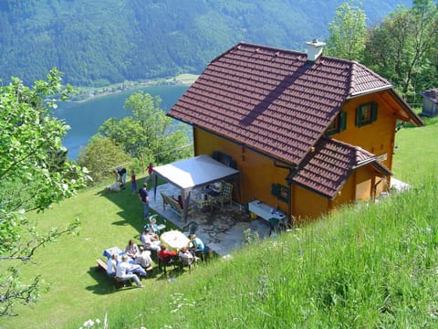 Bird's eye view, Summer