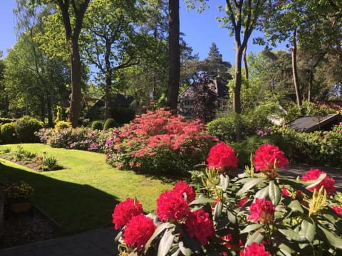 Garden, Garden view