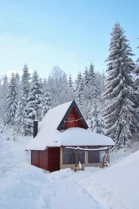 Lodge Drveni Kutak Chalet in Zlatibor District, Serbia