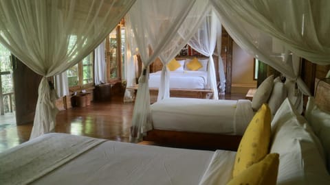 Garden, Balcony/Terrace