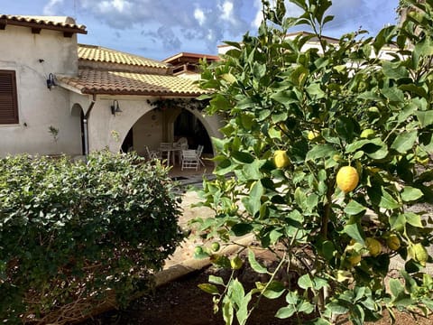Property building, Facade/entrance, Day, Garden, Garden view