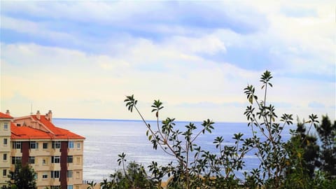 Neighbourhood, Beach, Sea view