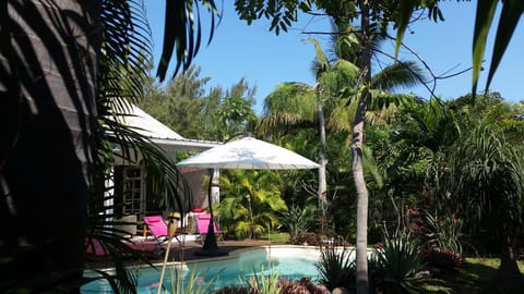 Garden, Swimming pool
