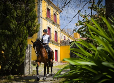 Property building, Horse-riding