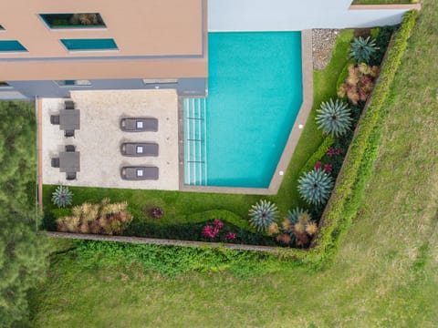 Garden, Pool view, Swimming pool