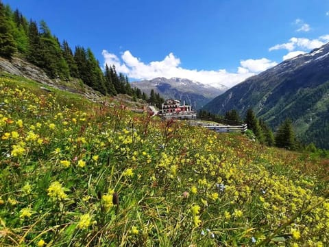 Facade/entrance, Summer, View (from property/room)