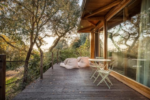 Property building, Patio, Spring, Day, Natural landscape, Bedroom, Garden view