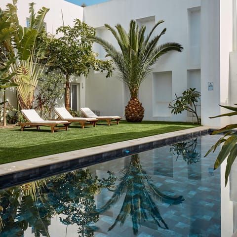 Garden, Garden view, Pool view, Swimming pool, Swimming pool, sunbed