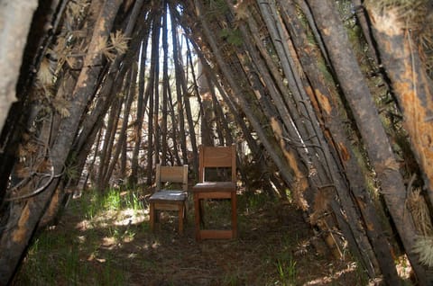 Grey Wolf Retreat by KABINO Sleeps 20 Commercial Kitchen Fire Pit WiFi Bunk Beds House in Idaho