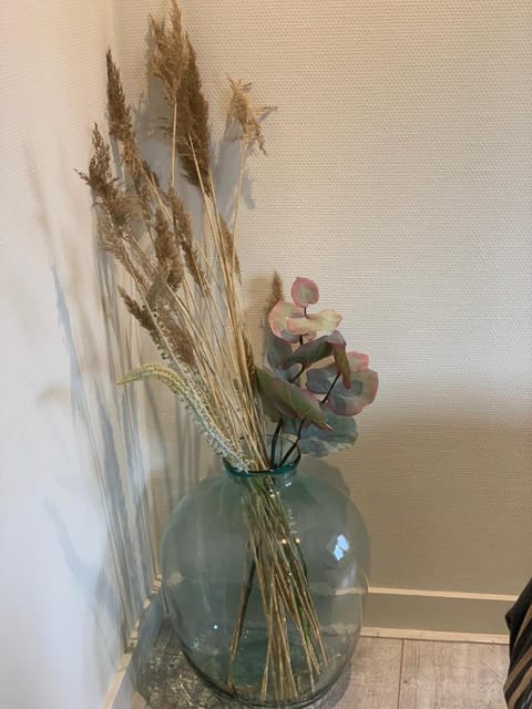 Brasserie de Peperboom Bed and Breakfast in Kamperland