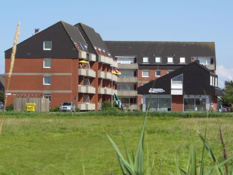 Property building, Neighbourhood, Garden
