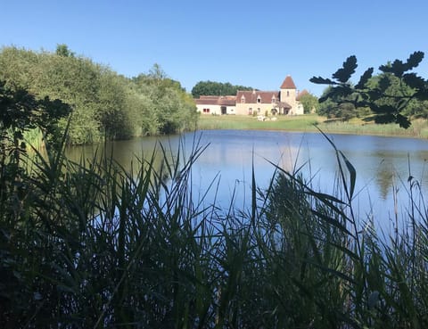 Lake view