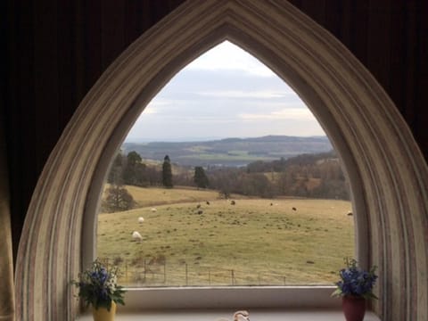 View (from property/room)