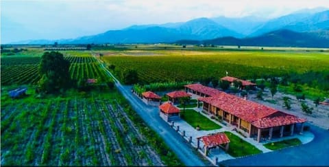 Property building, Bird's eye view