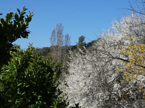 View (from property/room)