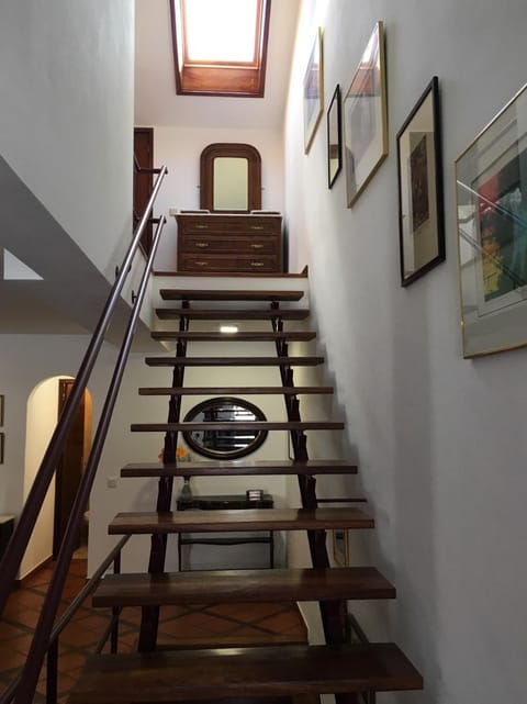 Decorative detail, Area and facilities