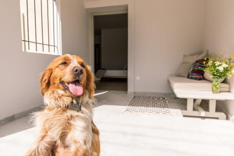 Luna Inn B&B Bed and Breakfast in Corfu, Greece