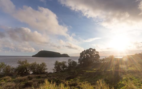 Natural landscape
