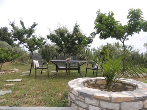 Garden, Garden, Dining area, Garden view
