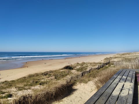 Nearby landmark, Beach, Sea view