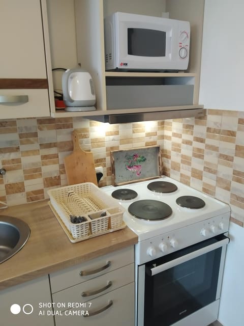 Apartman Ivan Apartment in Vojvodina