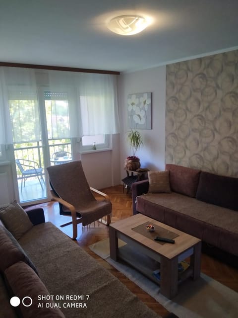 Apartman Ivan Apartment in Vojvodina