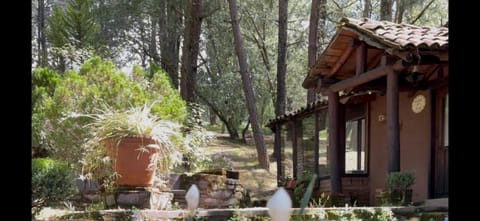 Cabañas Tapalpa Sierra del Tecuan, Cabaña Conejo Chalet in State of Michoacán
