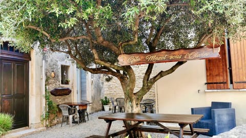 Patio, Spring, Garden, Garden view